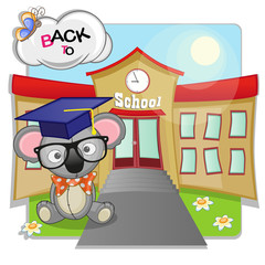 Koala and school