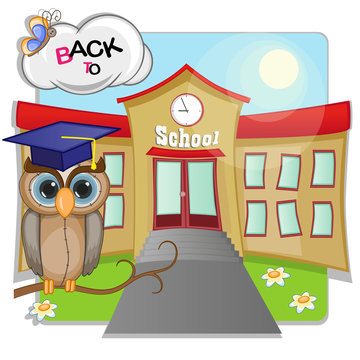 Owl and school