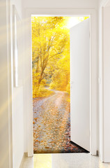 Fototapety  Drzwi do jesieni