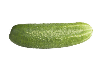 A fresh and tasty green vine ripened garden grown cucumber isola