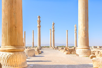 Columns of Persepolis in north Shiraz, Iran.