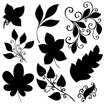 Vector Set of Leaves. Stencils Isolated on White Background