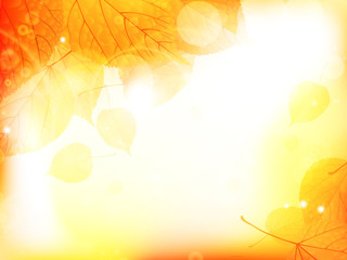 Autumn design background with leaves