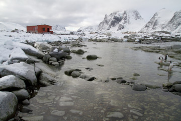 old research station and a colony of penguins around the mountai
