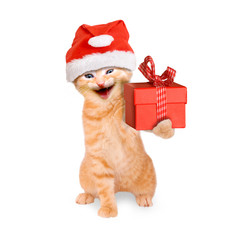 lächelnde Katze mit Weihnachtsmütze und Geschenk, isoliert