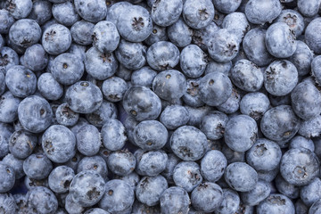 blueberries