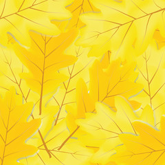 Naklejka na ściany i meble background from autumn leaves of oak