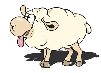 Obraz na płótnie Canvas owca