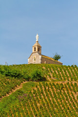 madone chapelle vignes