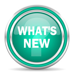 new green glossy web icon