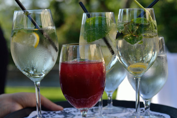 Tablett mit Aperitifs