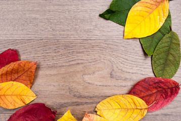 Fototapeta na wymiar Herbstlaub auf Holz