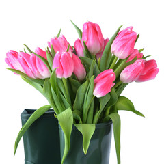 pink tulips