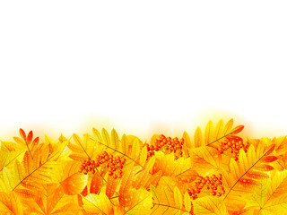 Autumn banner template with maple leaf.