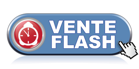 VENTE FLASH ICON
