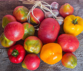 fresh vegetables from the garden