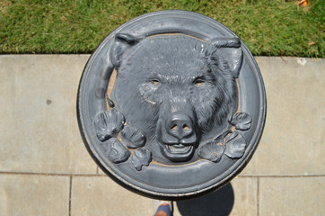 Sign of a wild boar, Capitol Park, Sacramento, California