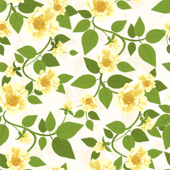 Fototapeta na wymiar Yellow Roses Seamless Pattern