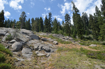 Rocky landscape with pines, Sierra Nevada mountains, California