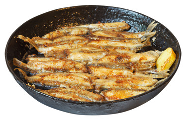 fried fish capelin on frypan isolated on white