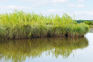 green island in Briere Marsh, France