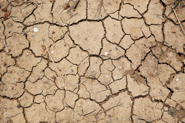 dry earth texture