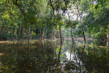 One touch of nature makes the whole world kin