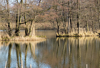 Spiegelung im Wasser