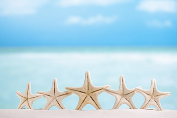 5 stars fish, white starfish with ocean, boat, white sand beach, - 69007085