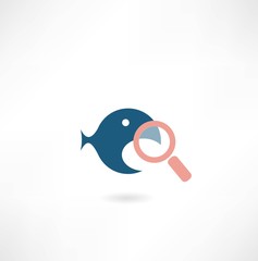 Obraz premium fish under the magnifying glass icon