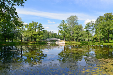Fototapeta na wymiar Summer landscape with the lake in Palace park of Gatchina