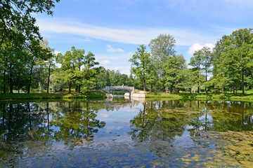 Obraz premium Summer landscape with the lake in Palace park of Gatchina
