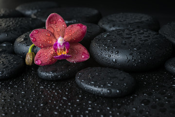 Obraz na płótnie Canvas Beautiful spa concept of dark purple orchid (phalaenopsis) on z