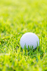Golf ball on green grass