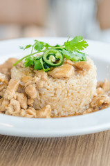 Chicken with brown sauce on rice