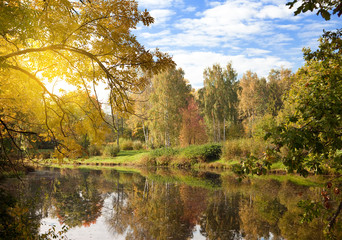 Fototapeta na wymiar The bright autumn wood is reflected in the lake