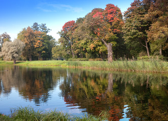 The bright autumn wood is reflected in the lake