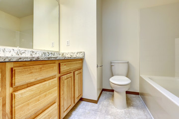 Fototapeta na wymiar Empty bathroom. Wooden cabinet with granite top