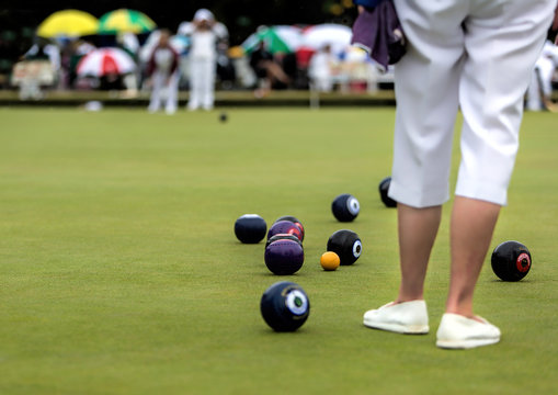 Bowls Sport Images – Browse 109,544 Stock Photos, Vectors, and Video |  Adobe Stock
