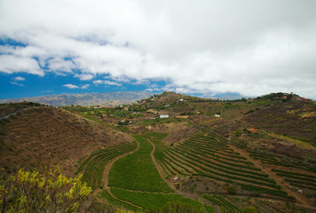 Gran Canaria, aerial view from Pico de Bandama