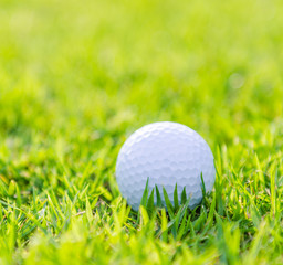 Golf ball on green grass
