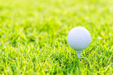 Golf ball on green grass