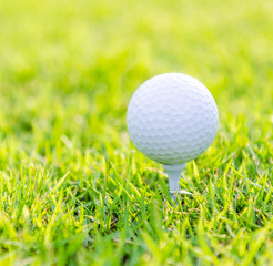 Golf ball on green grass