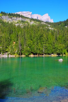 Le Lac Vert, Passy