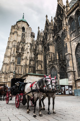 Naklejka na ściany i meble Horses outside Saint Stephan Cathedral in Vienna