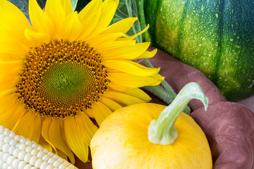 Herbstgr&uuml;&szlig;e