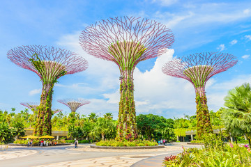 Garden by the bay