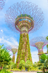 Fototapeta premium Garden by the bay