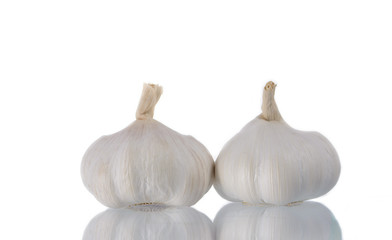 Fresh Garlic