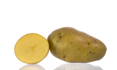 potato  on white background